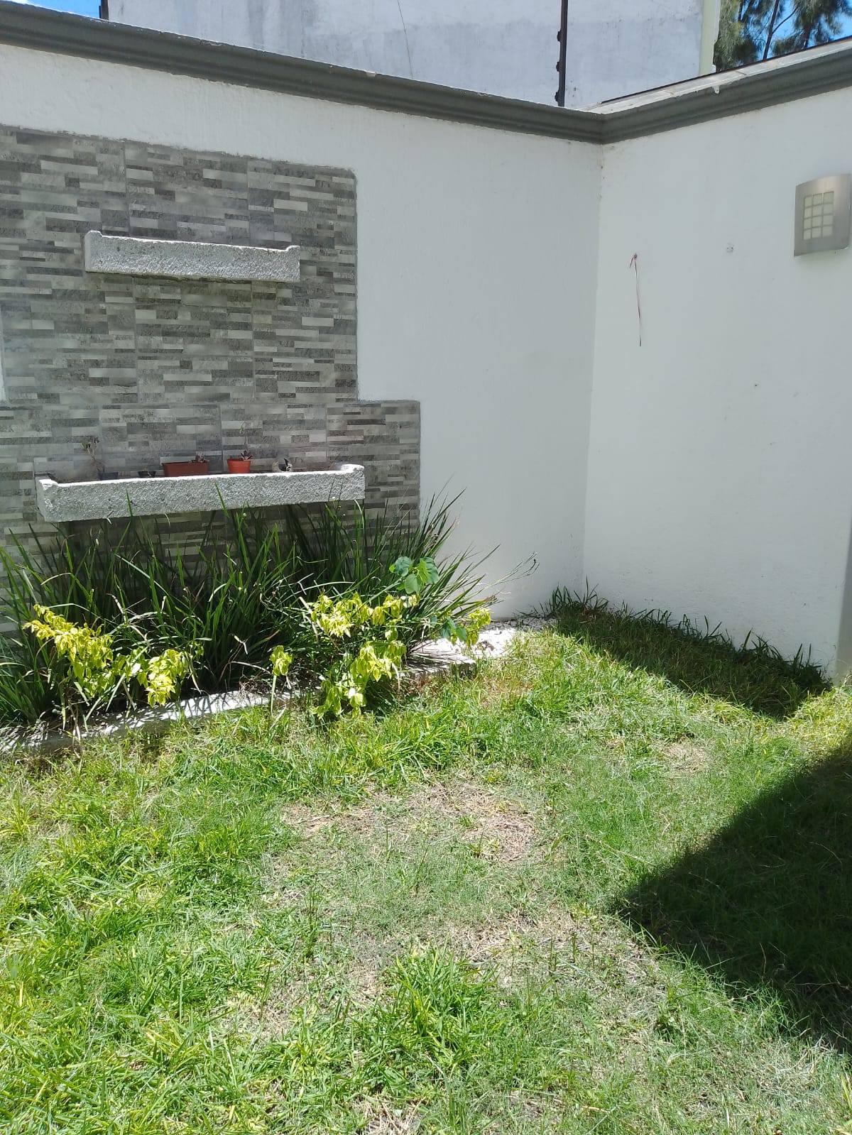 571244872_122255798186201601_8786729843577032926_n