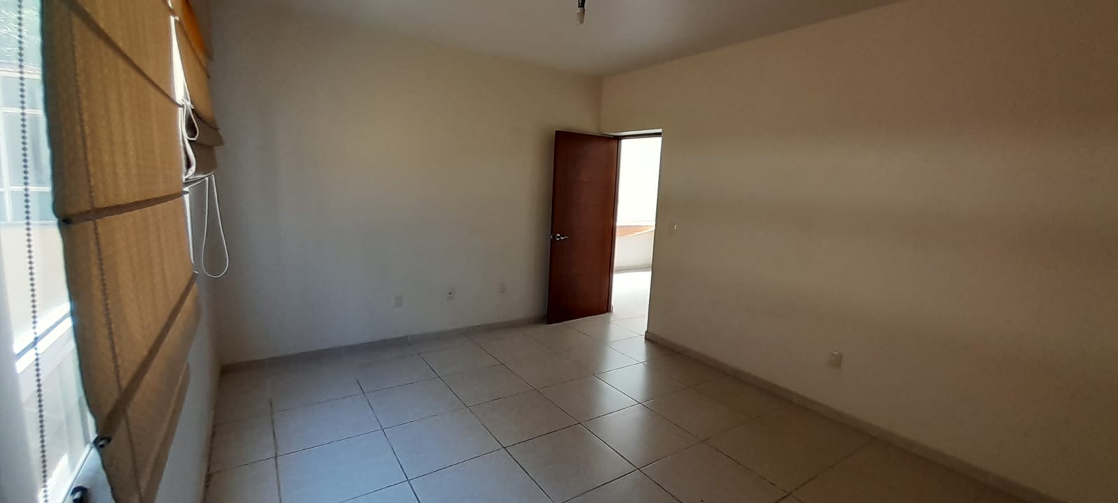 WhatsApp Image 2024-08-05 at 2.56.03 PM (4)