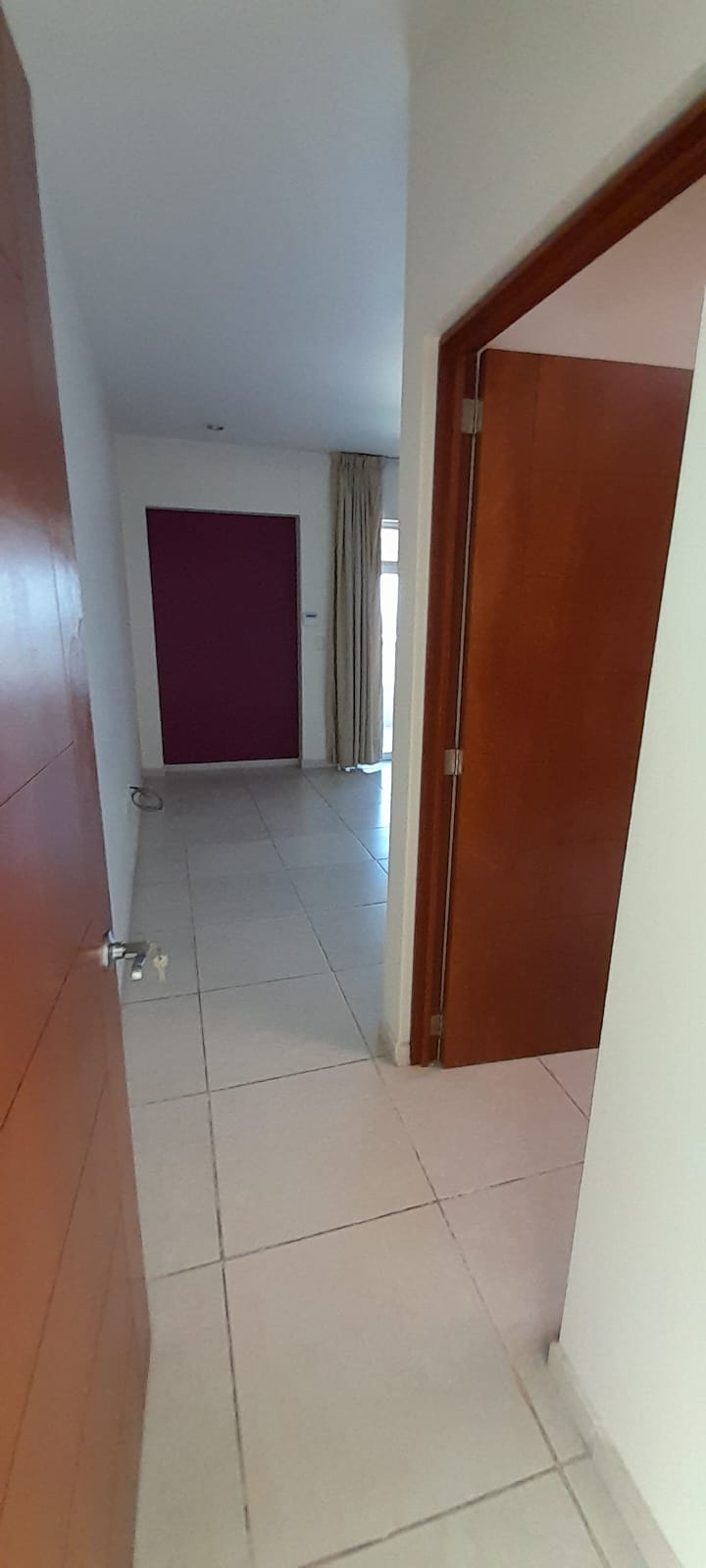 WhatsApp Image 2024-08-05 at 2.56.30 PM