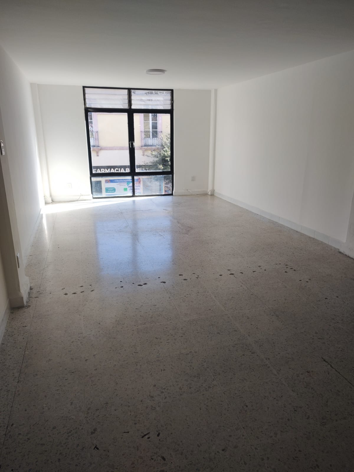 WhatsApp Image 2024-09-20 at 9.13.58 PM