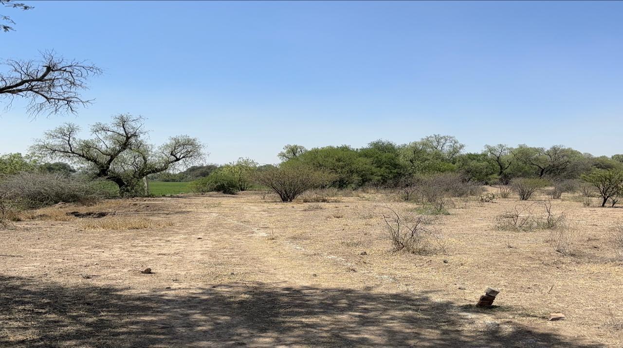 WhatsApp Image 2024-09-25 at 10.14.03 AM (1)