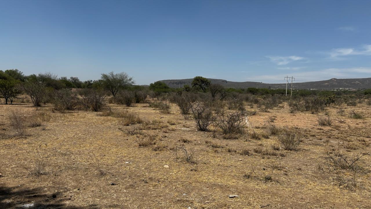 WhatsApp Image 2024-09-25 at 10.14.03 AM (2)