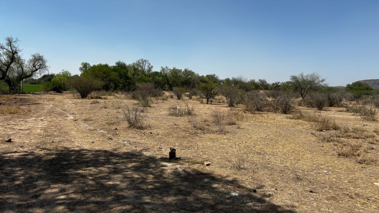 WhatsApp Image 2024-09-25 at 10.14.03 AM (3)