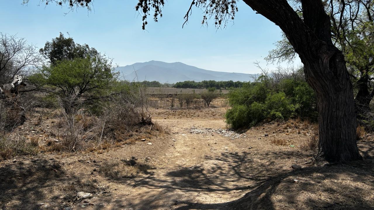 WhatsApp Image 2024-09-25 at 10.14.03 AM (4)