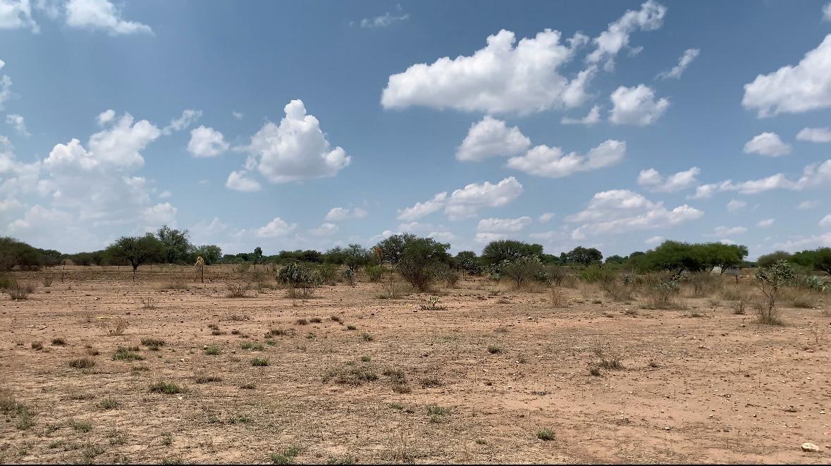 WhatsApp Image 2024-09-25 at 10.14.03 AM (5)