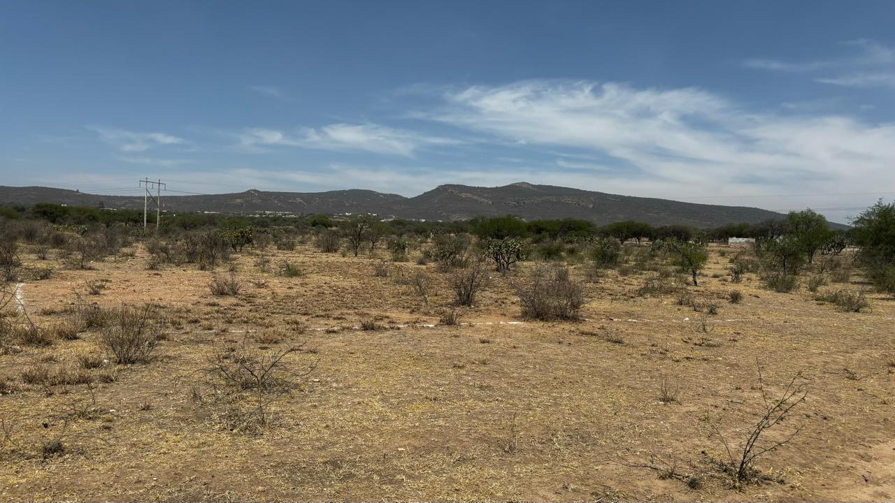 WhatsApp Image 2024-09-25 at 10.14.03 AM