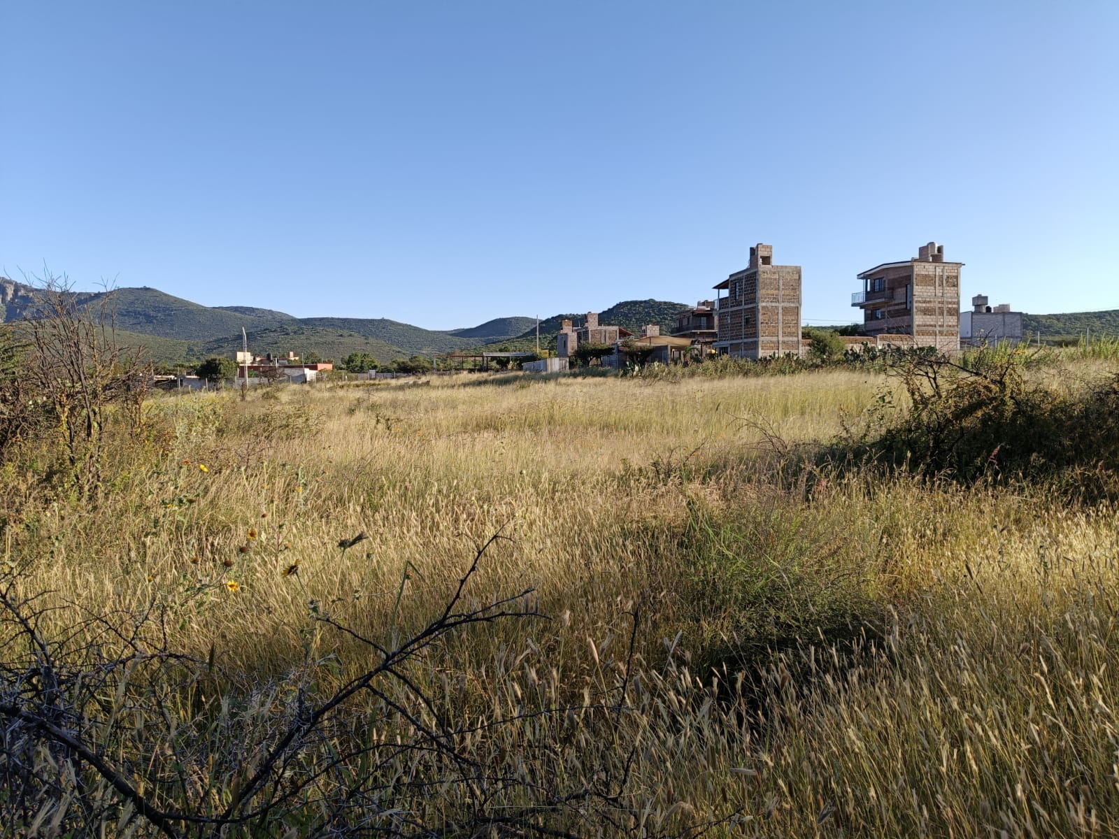 WhatsApp Image 2024-11-09 at 9.21.59 PM (1)