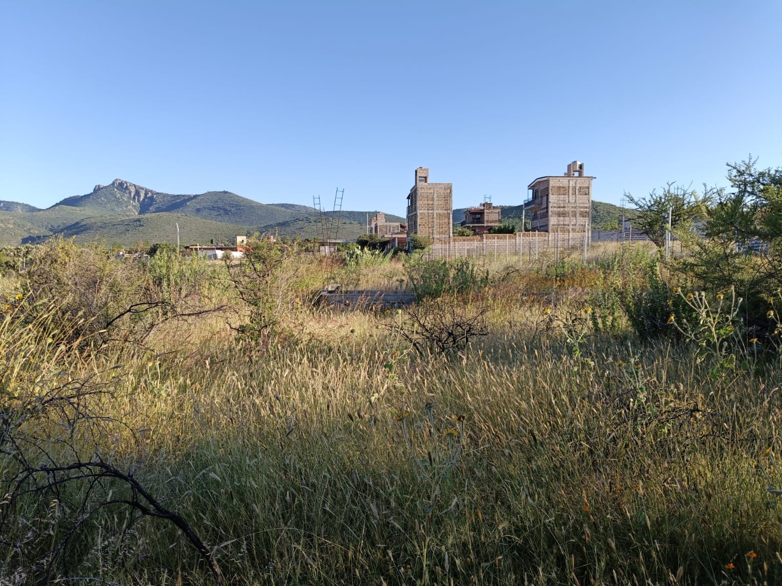 WhatsApp Image 2024-11-09 at 9.21.59 PM