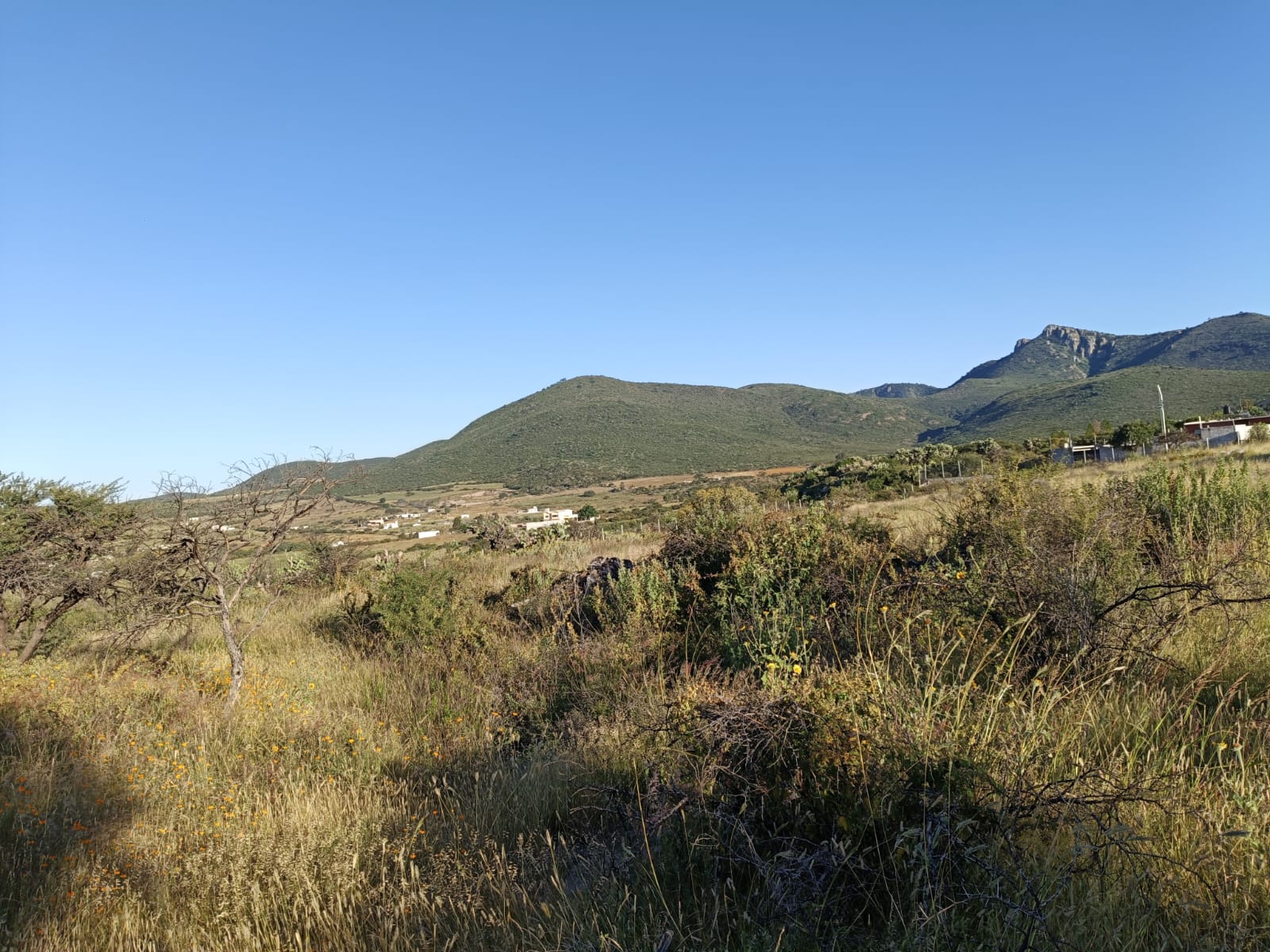 WhatsApp Image 2024-11-09 at 9.22.00 PM