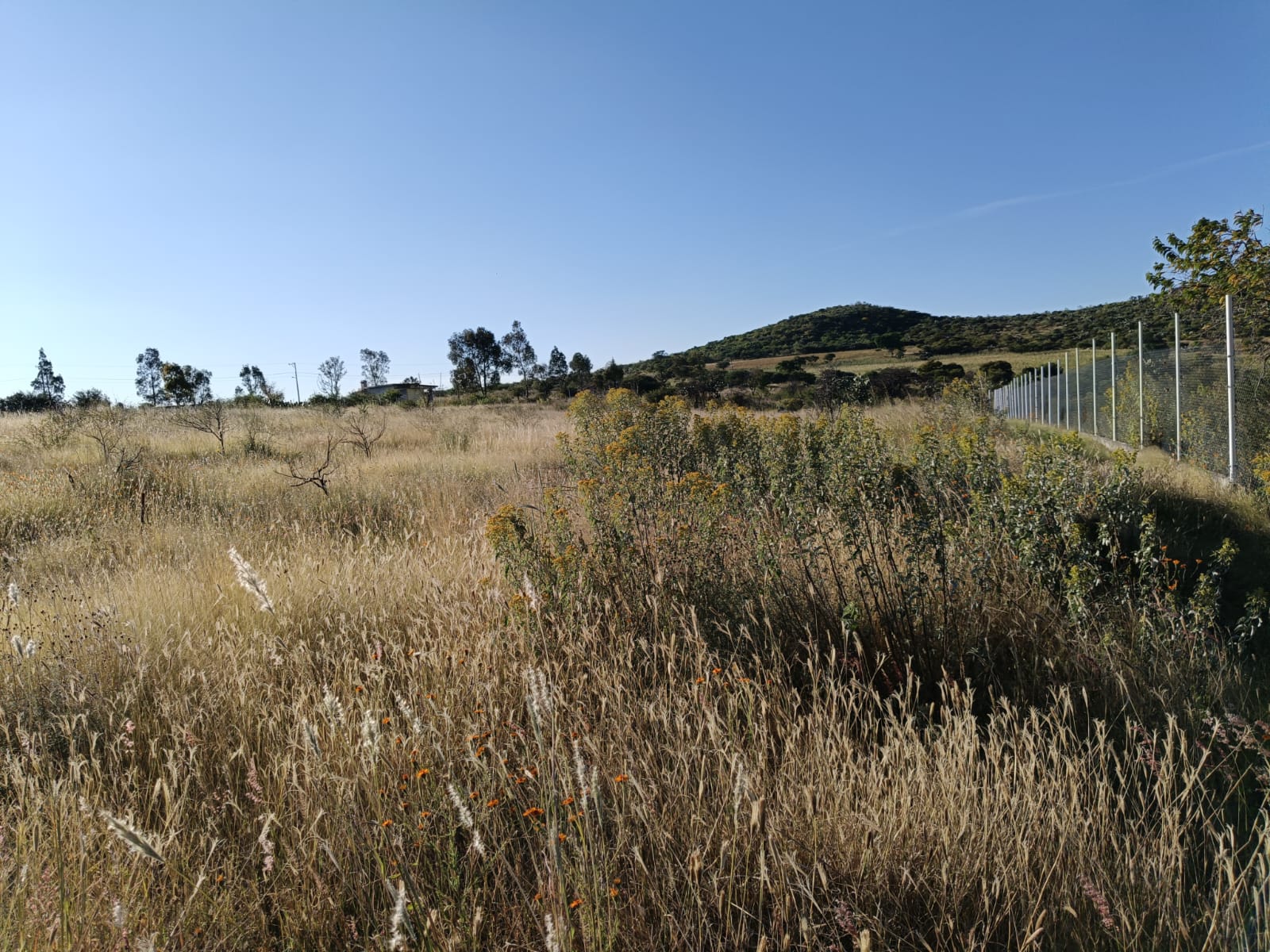 WhatsApp Image 2024-11-09 at 9.22.01 PM (1)