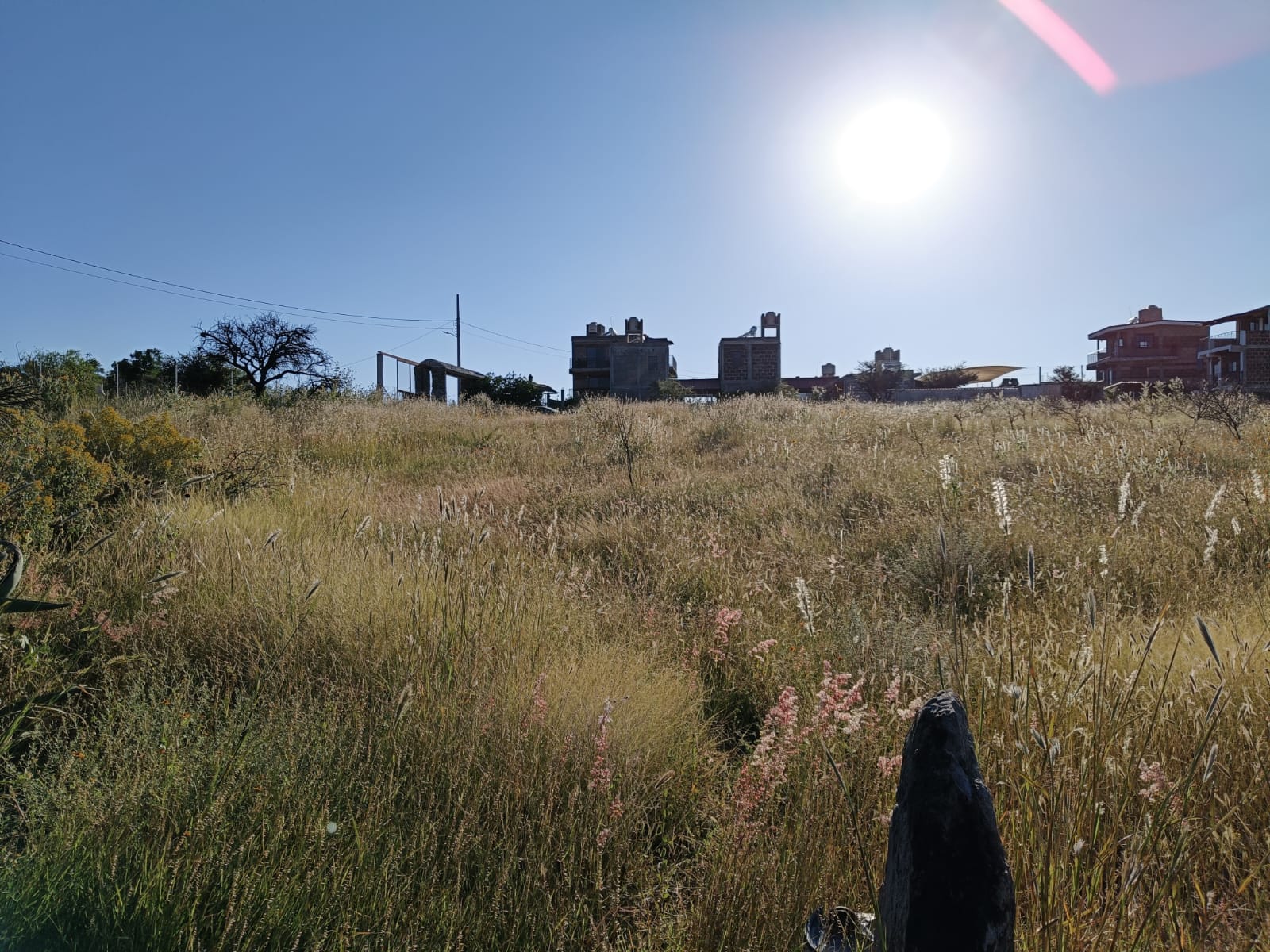 WhatsApp Image 2024-11-09 at 9.22.01 PM (2)