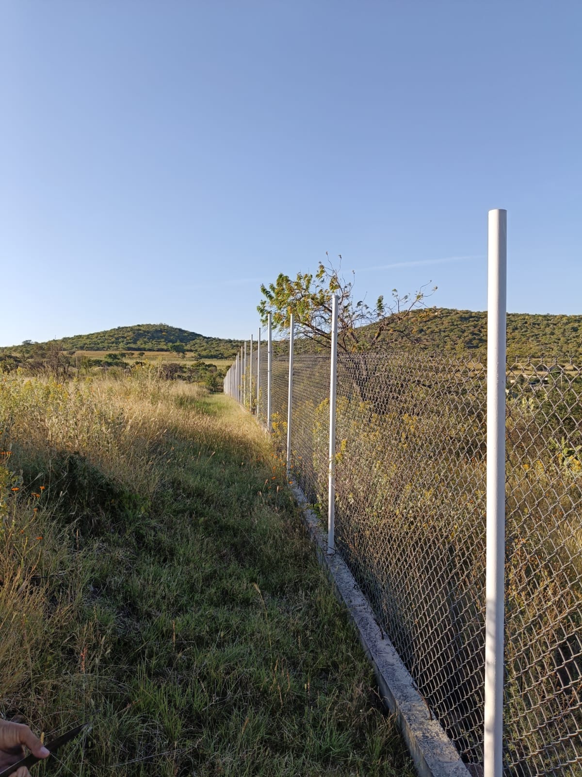 WhatsApp Image 2024-11-09 at 9.22.01 PM