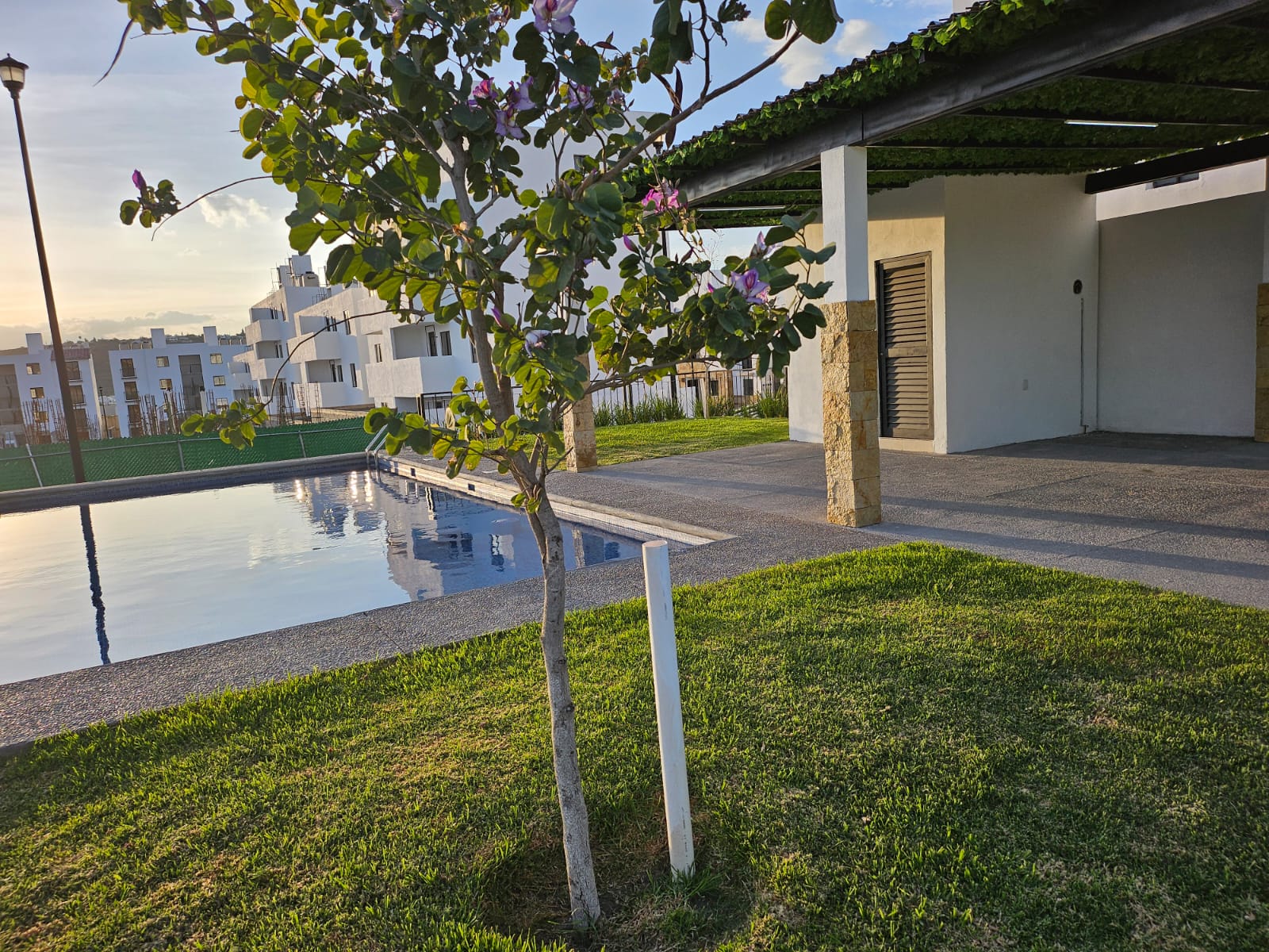 WhatsApp Image 2024-11-18 at 6.44.33 PM