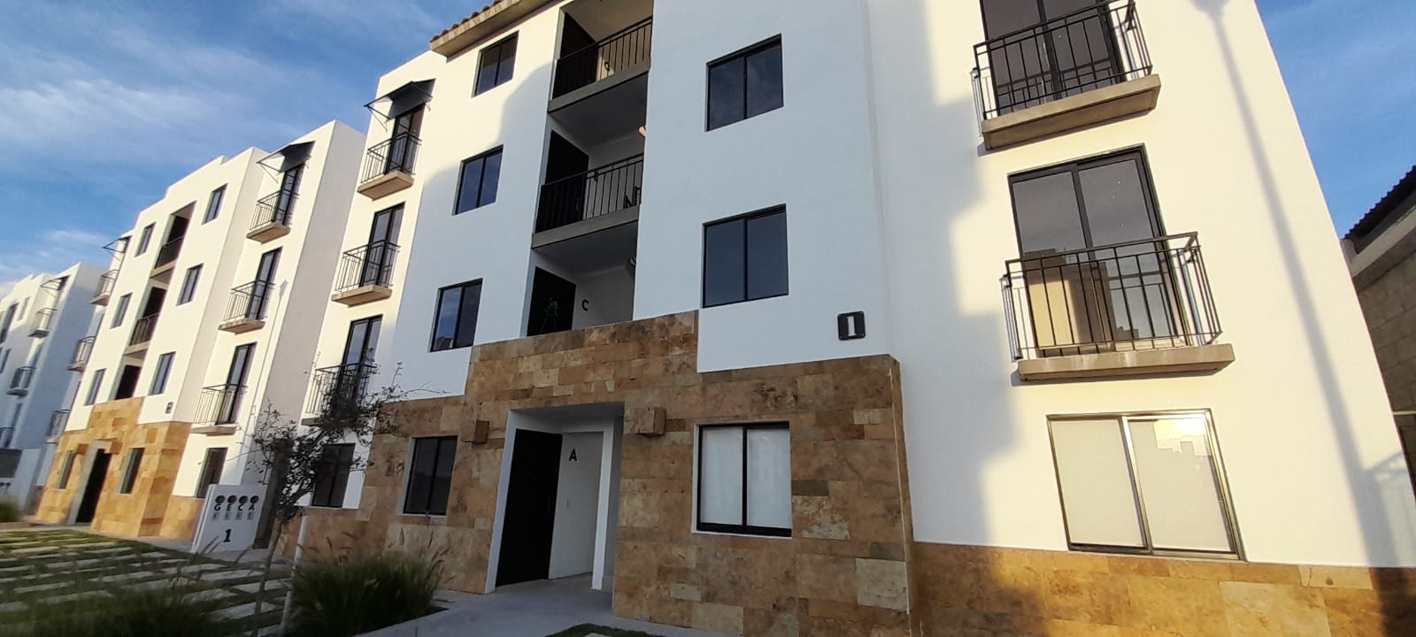 WhatsApp Image 2024-11-22 at 9.30.39 AM