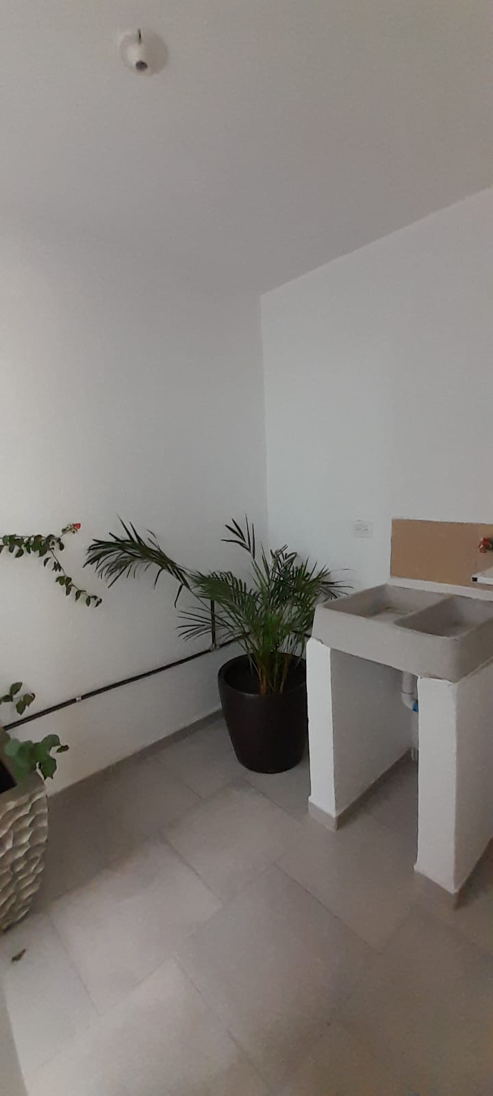 WhatsApp Image 2024-11-22 at 9.30.45 AM