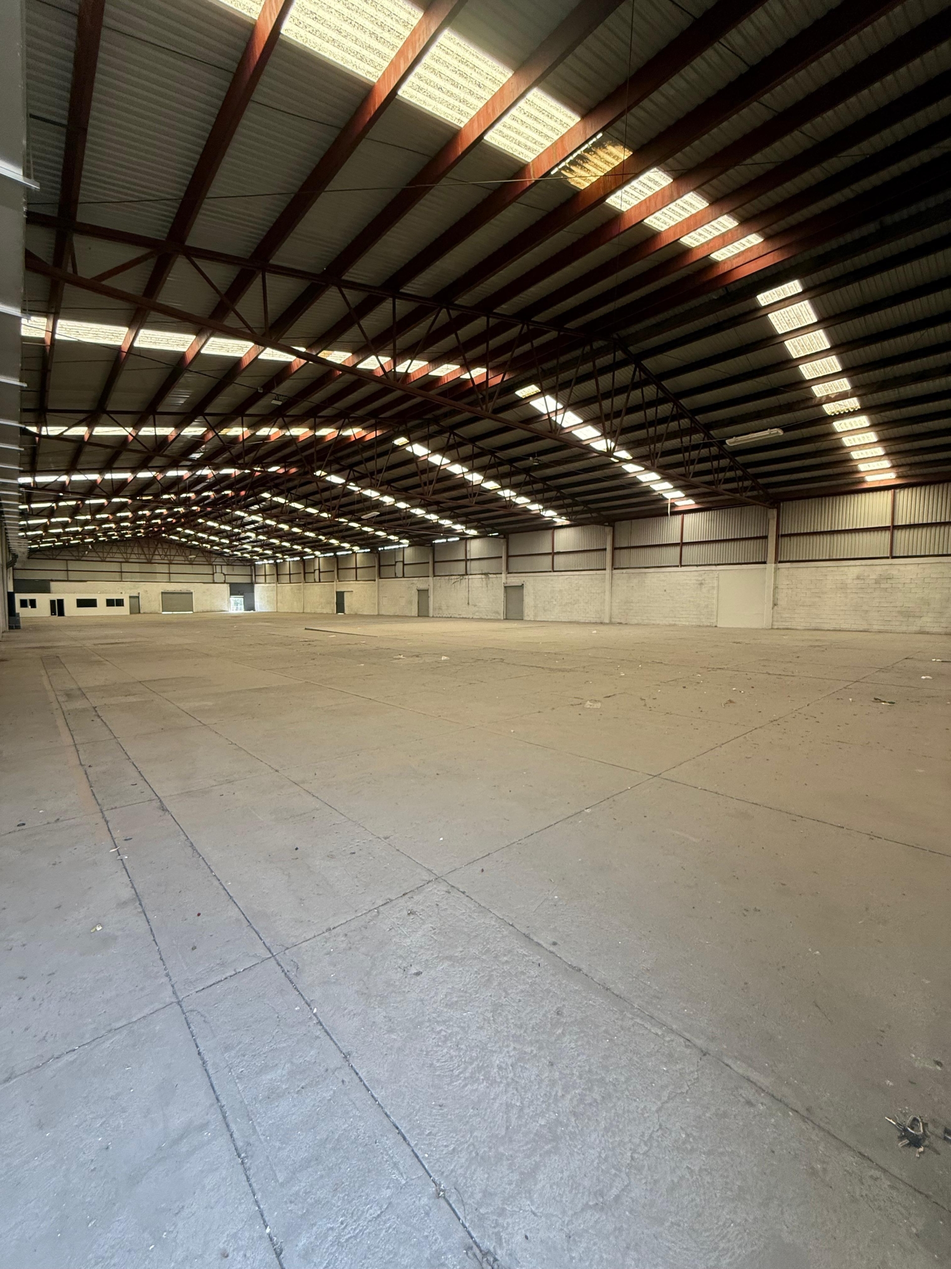 WhatsApp Image 2025-03-22 at 6.09.49 PM (3)