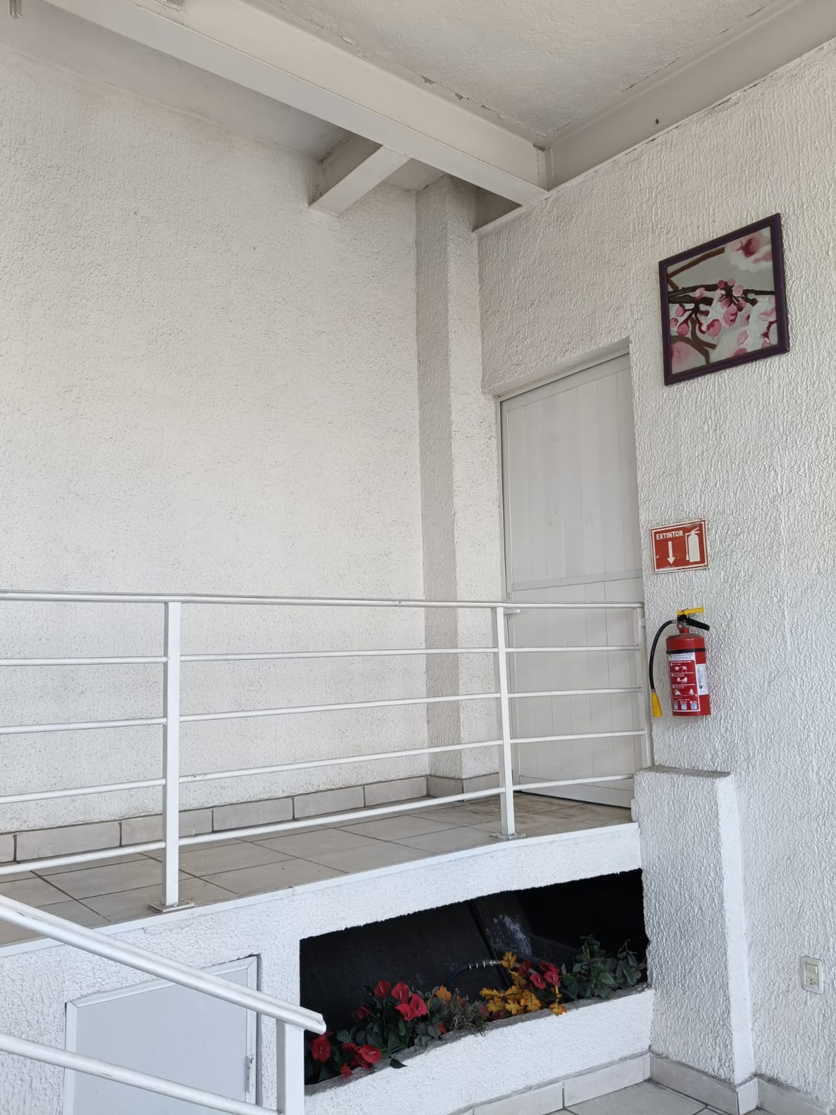 WhatsApp Image 2025-04-08 at 6.54.10 PM (3)