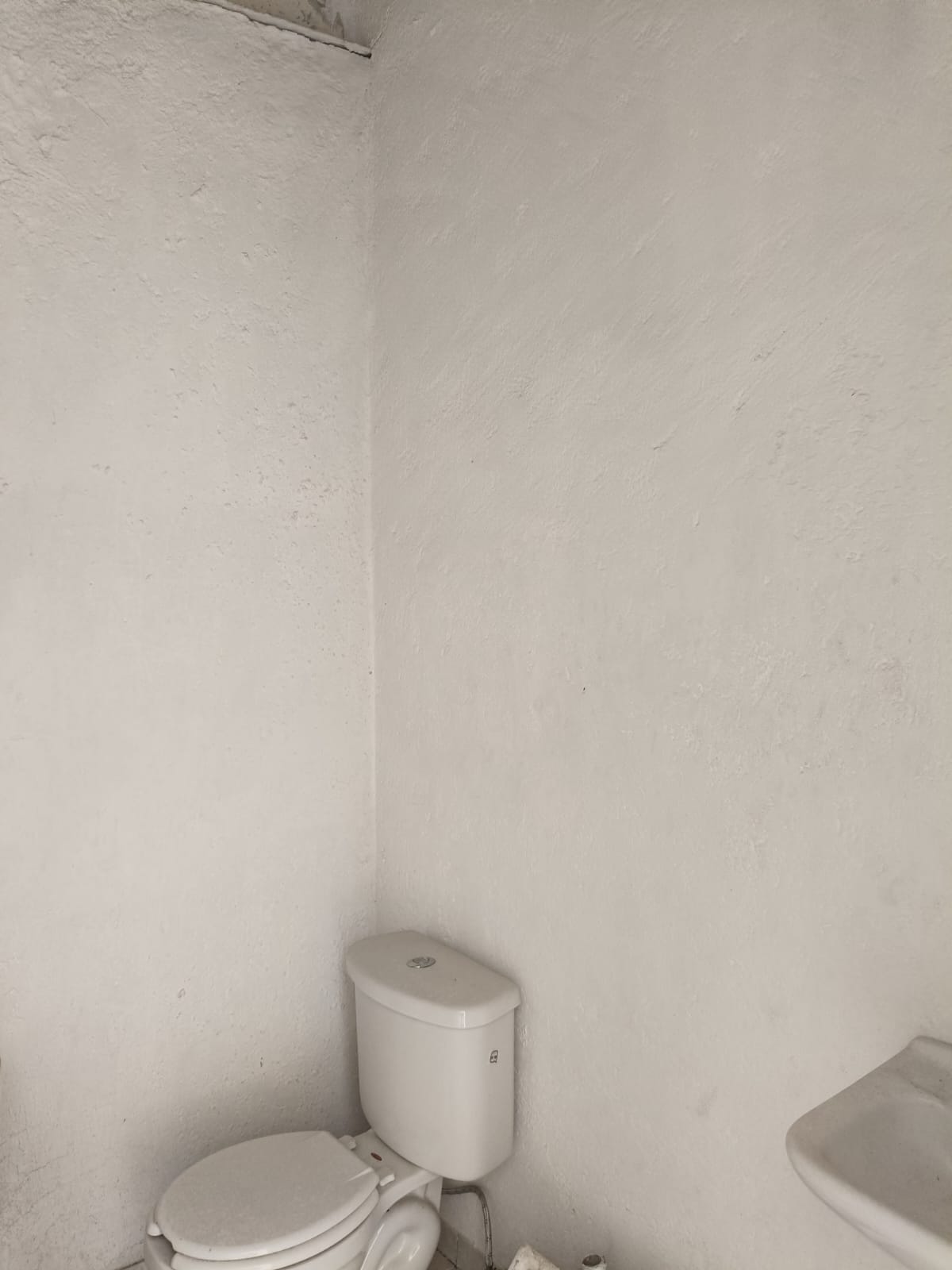 WhatsApp Image 2025-04-08 at 6.57.13 PM