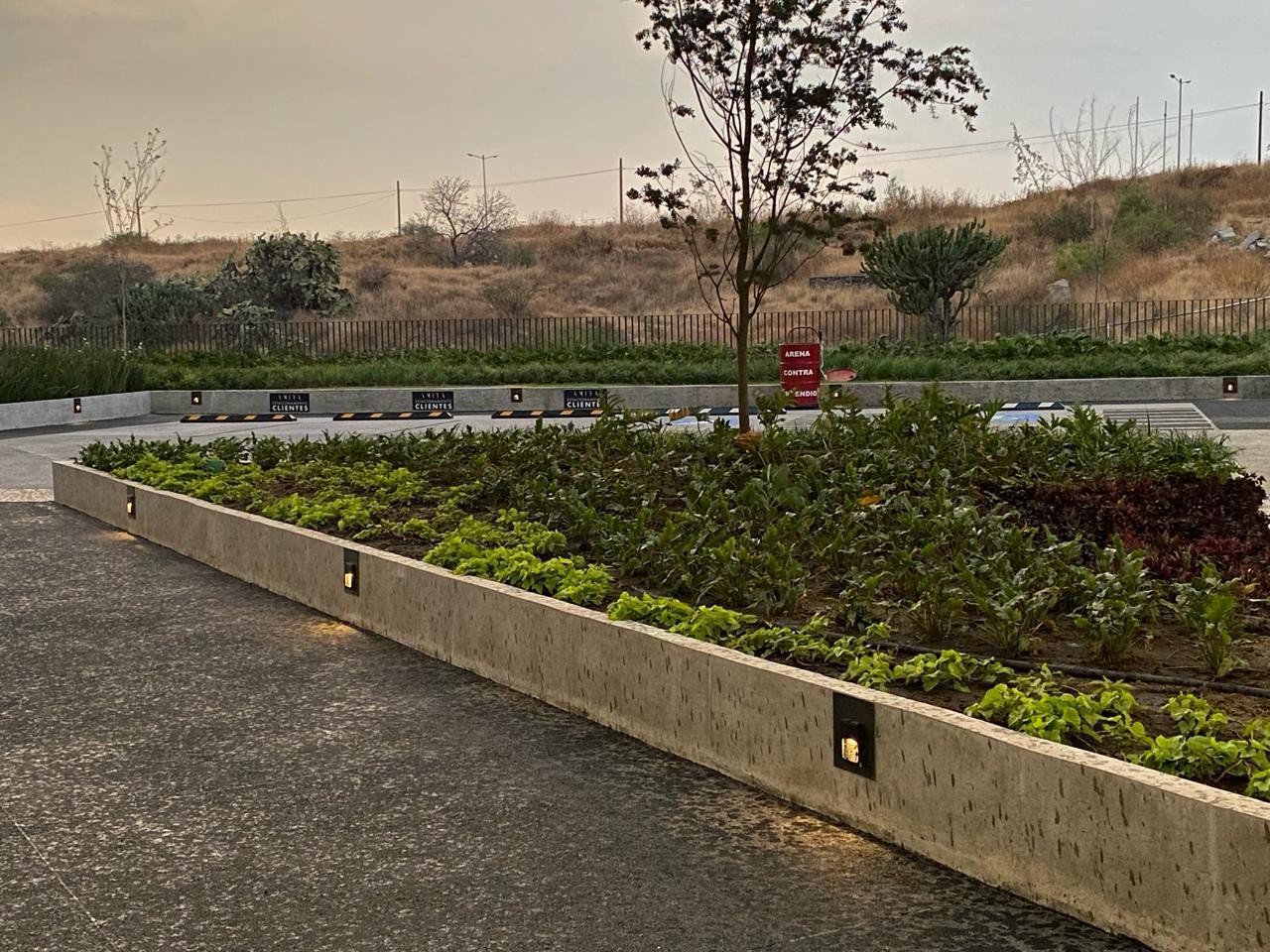 WhatsApp Image 2025-07-29 at 9.14.52 PM (5)