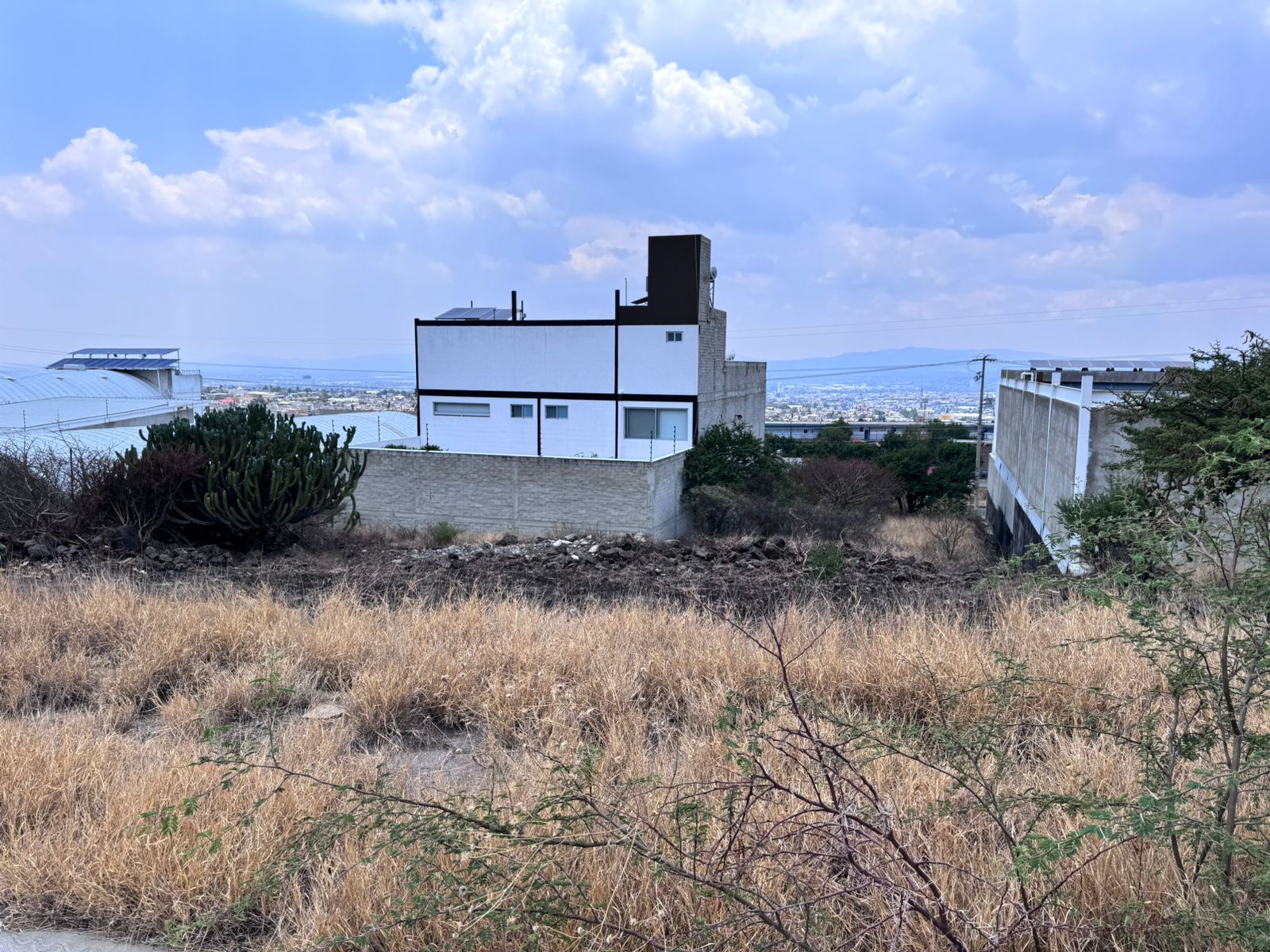 WhatsApp Image 2025-08-07 at 12.23.35 PM (1)