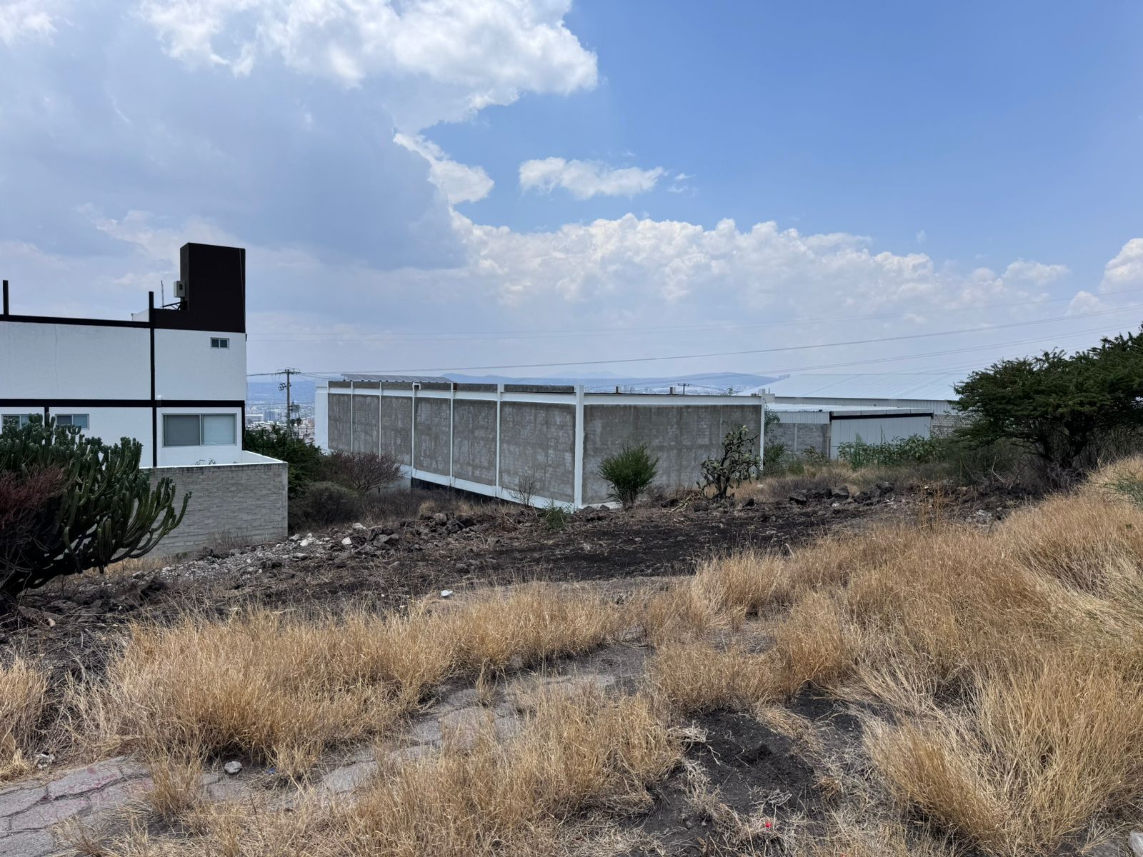 WhatsApp Image 2025-08-07 at 12.23.35 PM