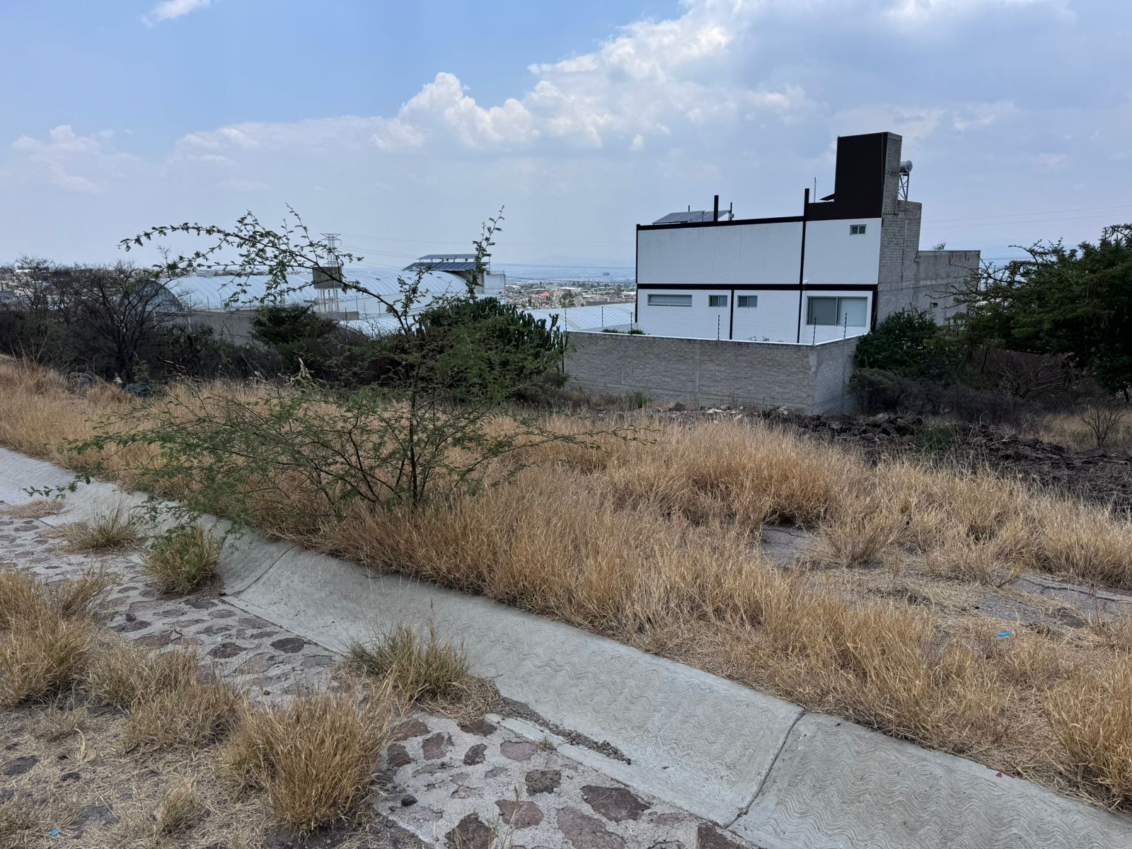 WhatsApp Image 2025-08-07 at 12.23.36 PM (1)