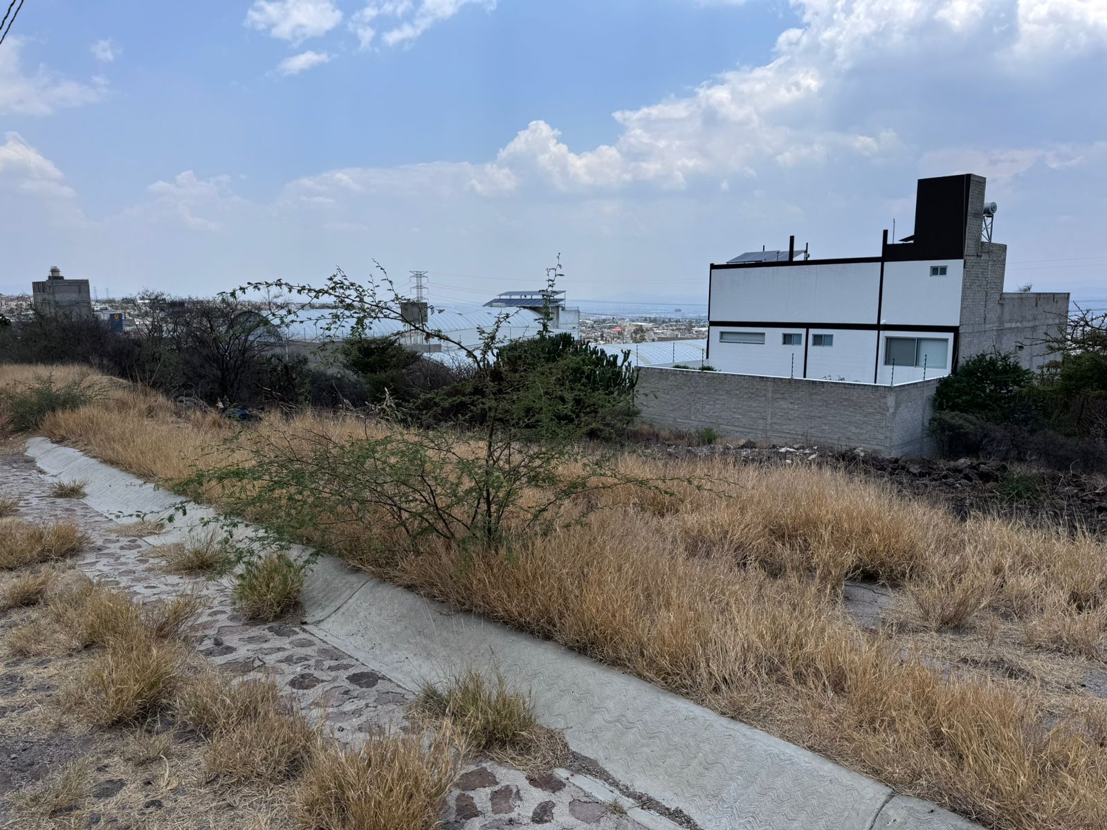 WhatsApp Image 2025-08-07 at 12.23.36 PM (2)