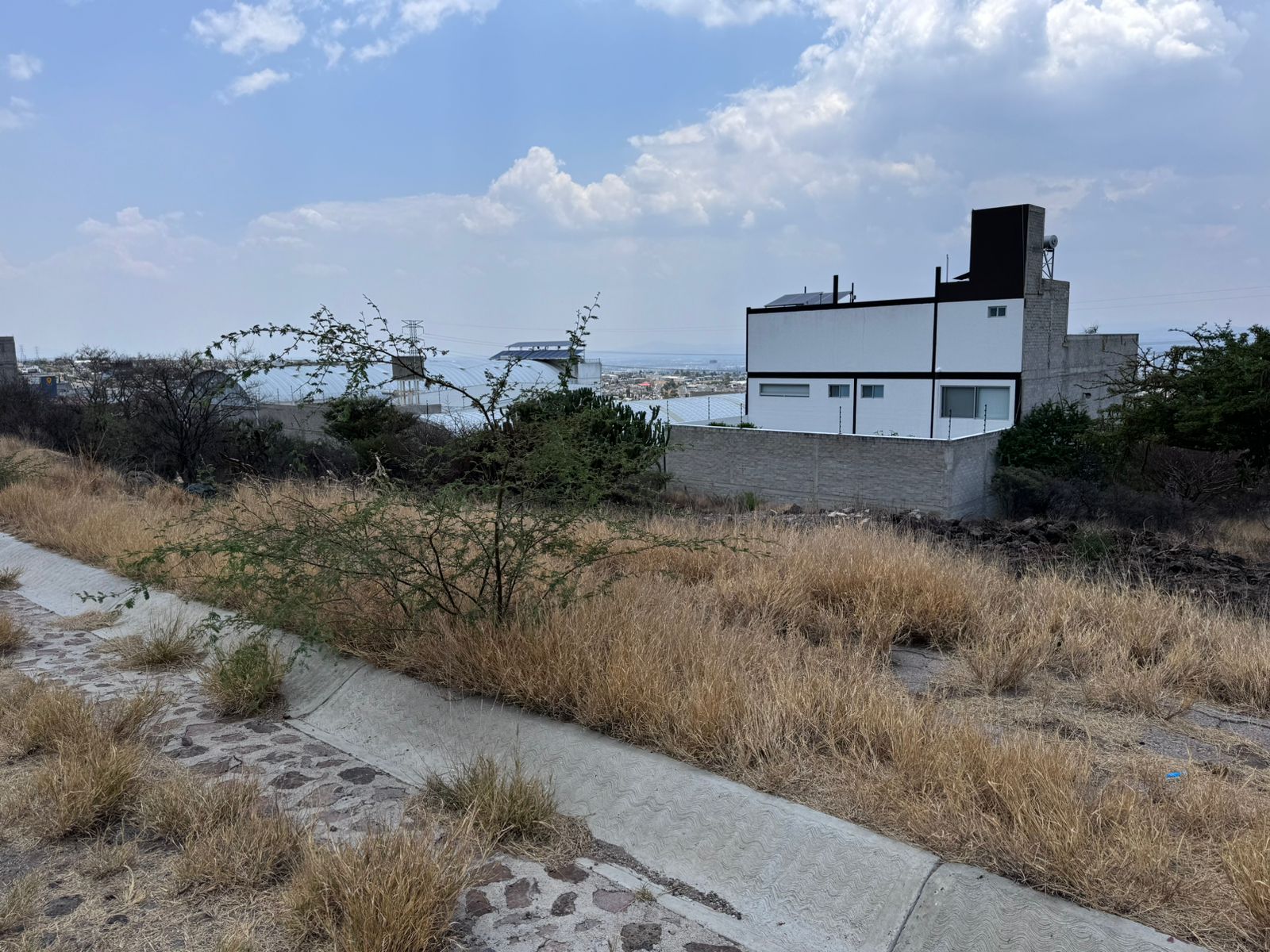 WhatsApp Image 2025-08-07 at 12.23.36 PM (5)