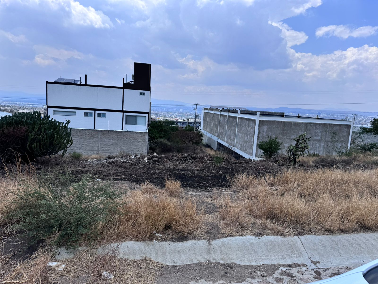 WhatsApp Image 2025-08-07 at 12.23.36 PM