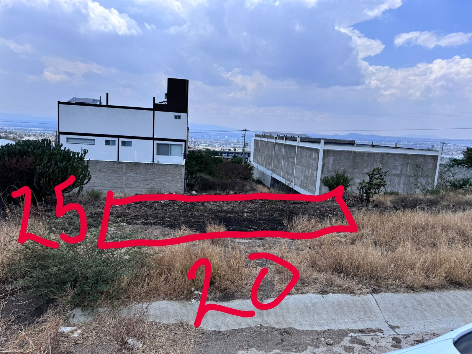 WhatsApp Image 2025-08-07 at 12.24.31 PM