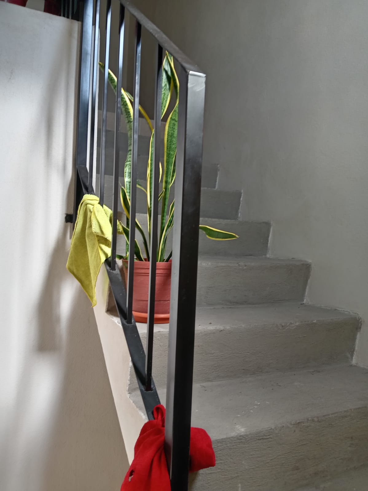 WhatsApp Image 2025-10-14 at 10.05.24 PM (1)