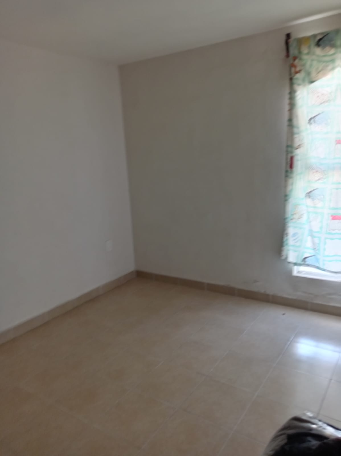 WhatsApp Image 2025-10-14 at 10.05.24 PM (4)