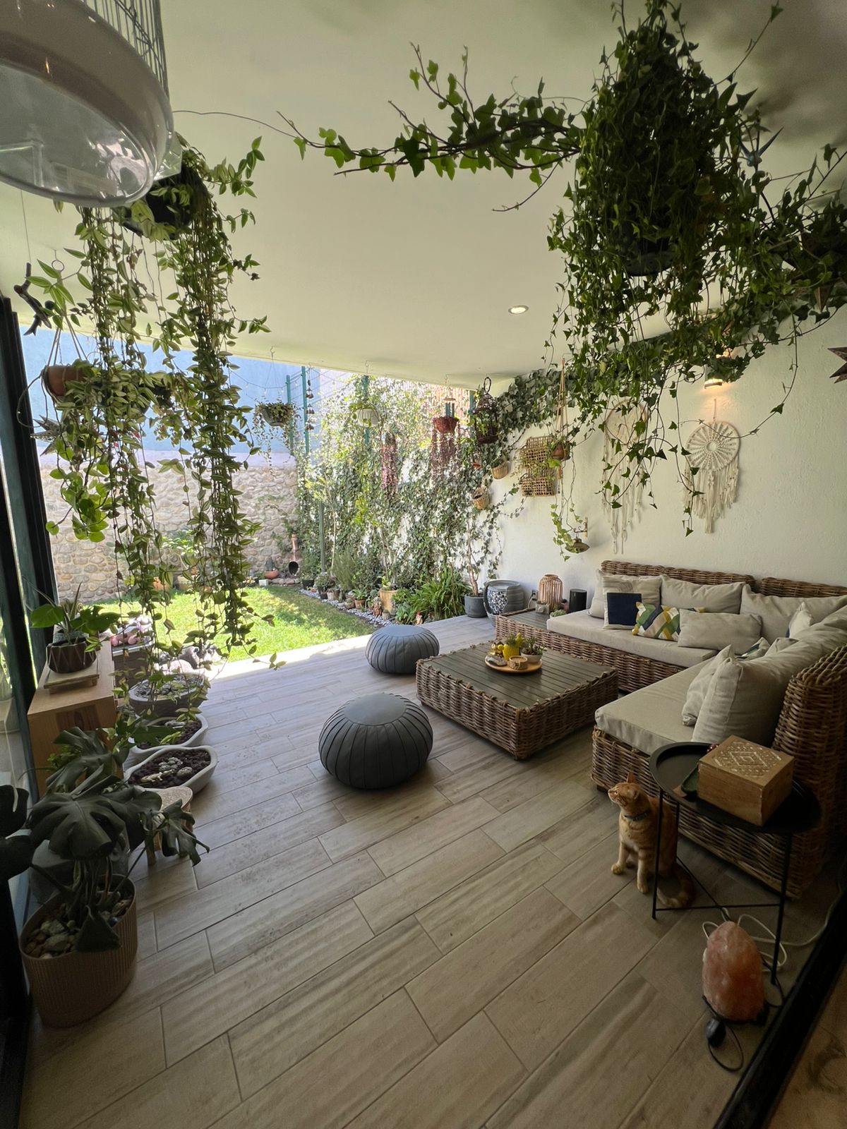 WhatsApp Image 2025-10-23 at 5.09.22 PM (12)