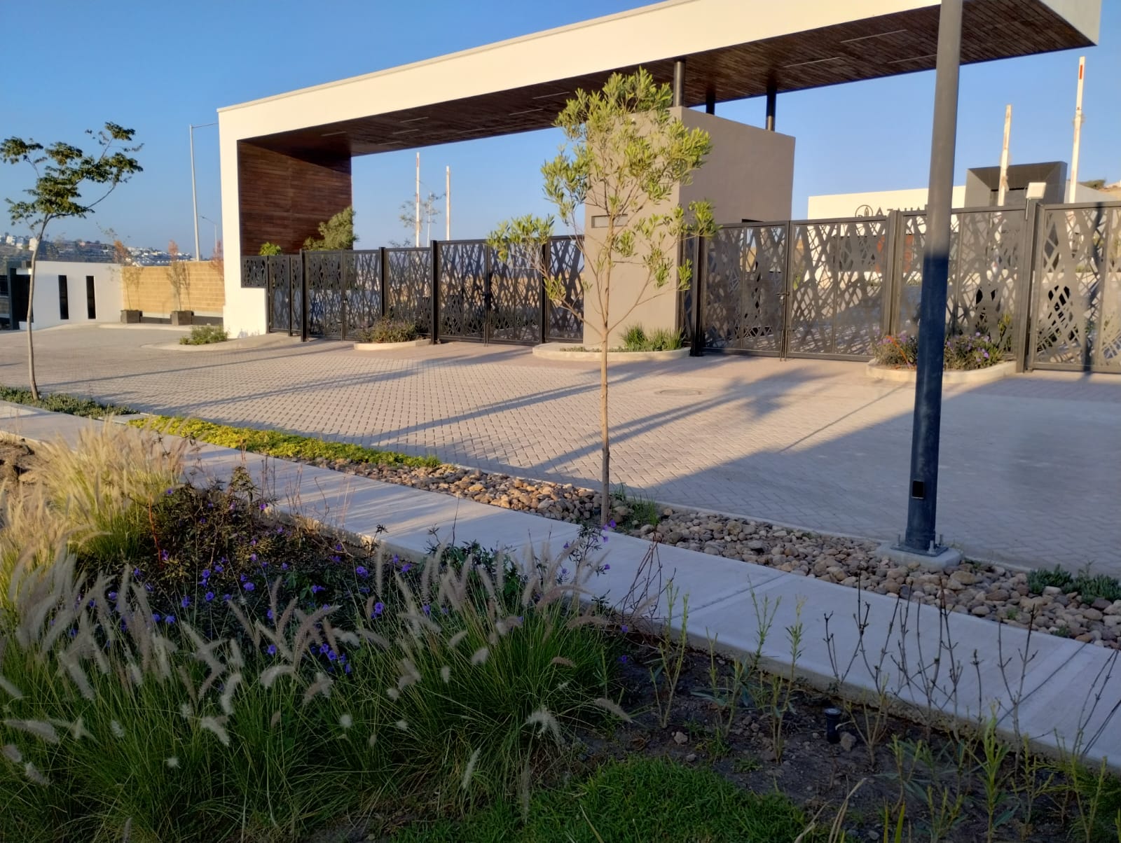 WhatsApp Image 2025-10-23 at 8.57.19 PM (1)