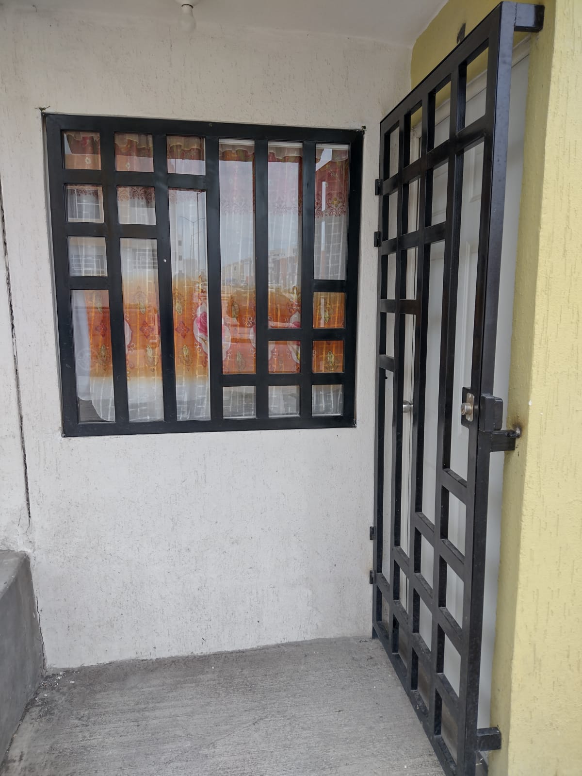 WhatsApp Image 2025-10-24 at 6.19.29 PM (1)